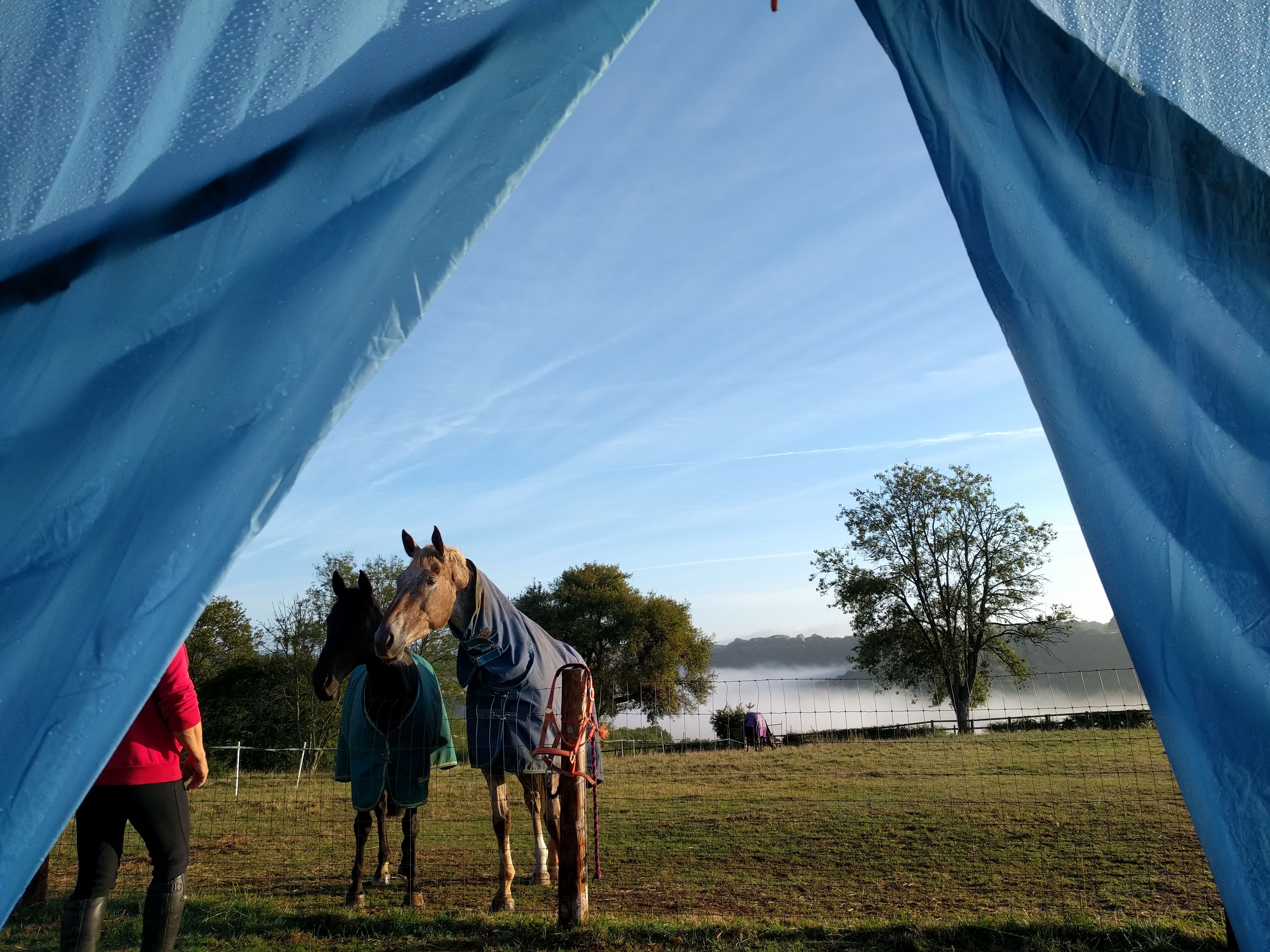 Camping