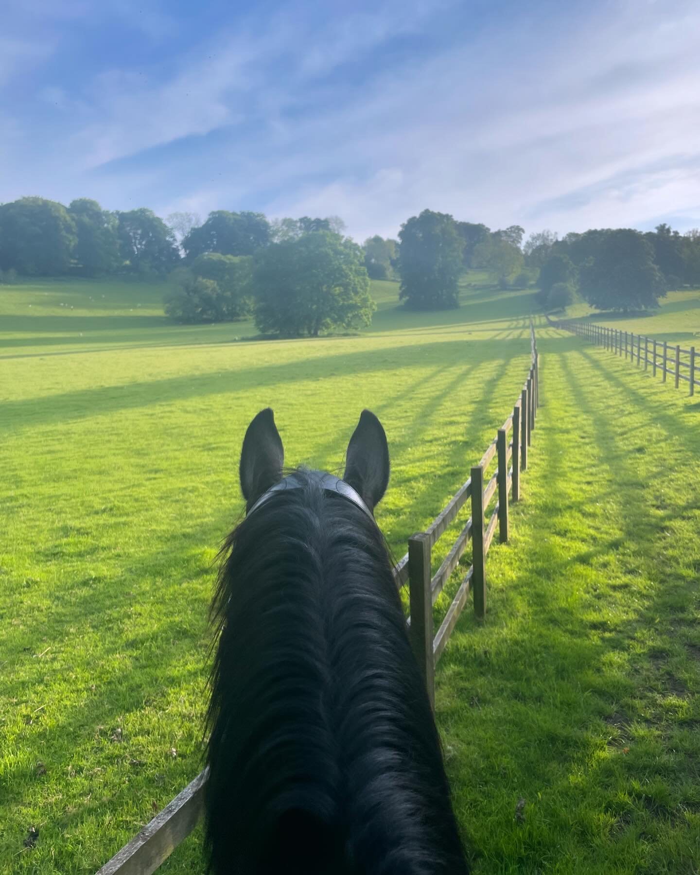 A grassy bridleway between fences in the Chiltern Hills